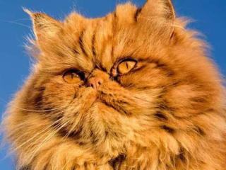 rs0307Test1234-hot - Live Sex Cam - 28070177