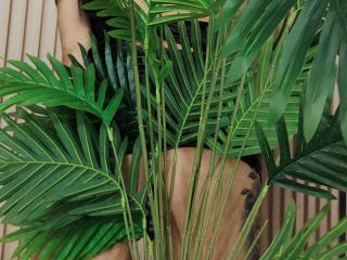 NenaBlack - Sexe cam en vivo - 28384727