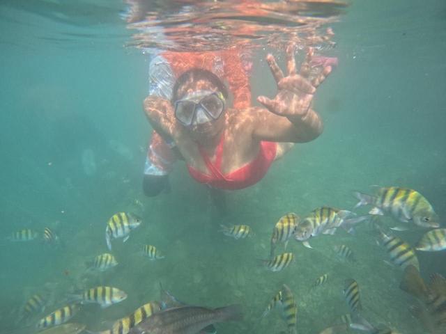 SoffieMature - Live Sex Cam - 28384856