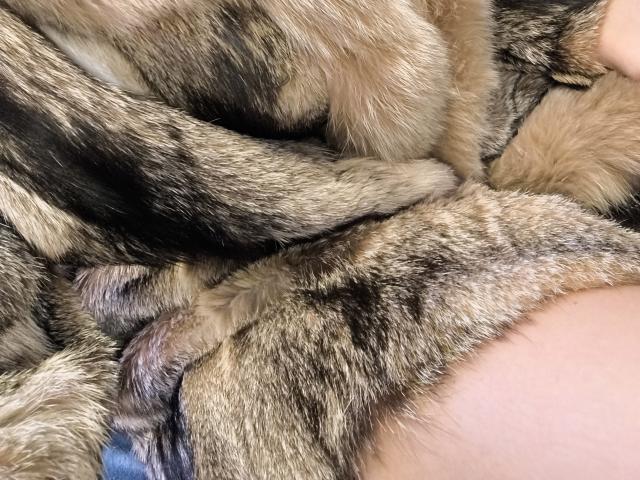 OrianaLaFrancaise - Live porn &amp; sex cam - 28466783