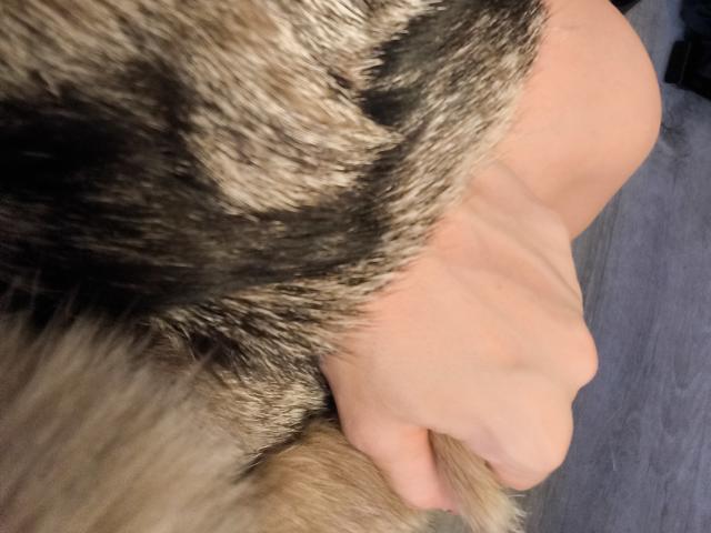 OrianaLaFrancaise - Live sex cam - 28476341