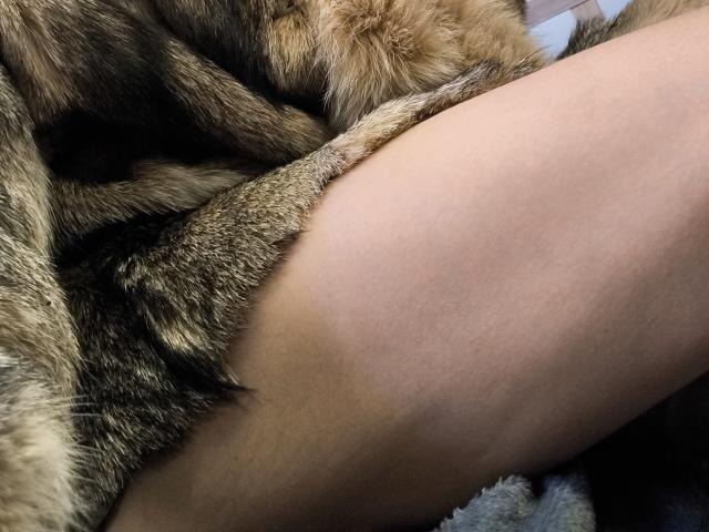 OrianaLaFrancaise - Camera khiêu dâm &amp; quyến rũ trực tiếp - 28476353