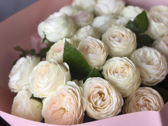 Dooris - Camera khiêu dâm &amp; quyến rũ trực tiếp - 28763546