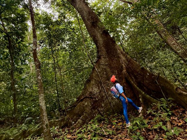 SaraleePoison - Camera khiêu dâm &amp; quyến rũ trực tiếp - 28803227