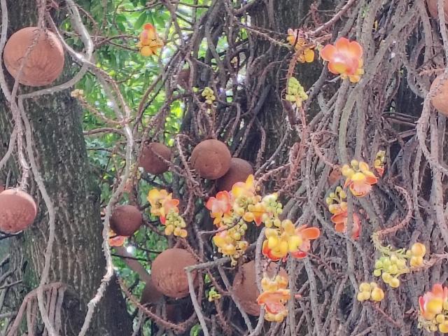 AmyStreetwise69 - Sexe cam en vivo - 28874984