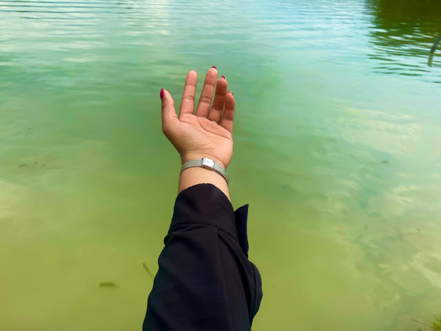 SophieSonyas - Sexe cam en vivo - 29043902