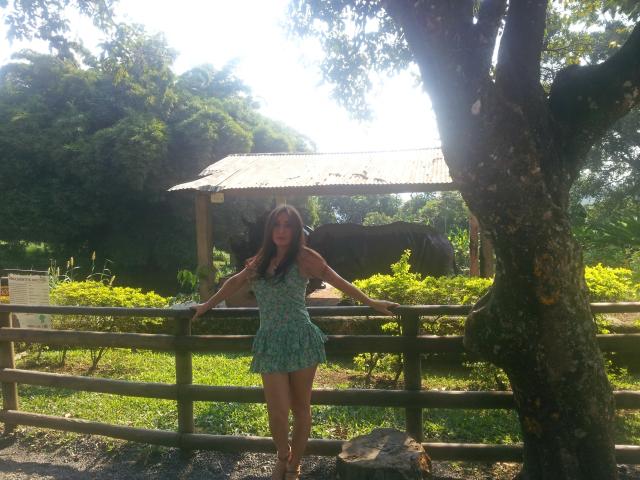 HotLatinaMaria - Live porn &amp; sex cam - 2909755