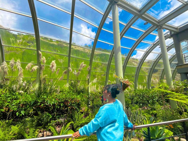 SophieSonyas - Live Sex Cam - 29250740