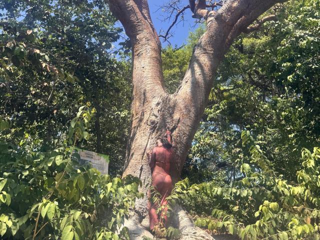 HannaBorbon - Live sex cam - 29298338