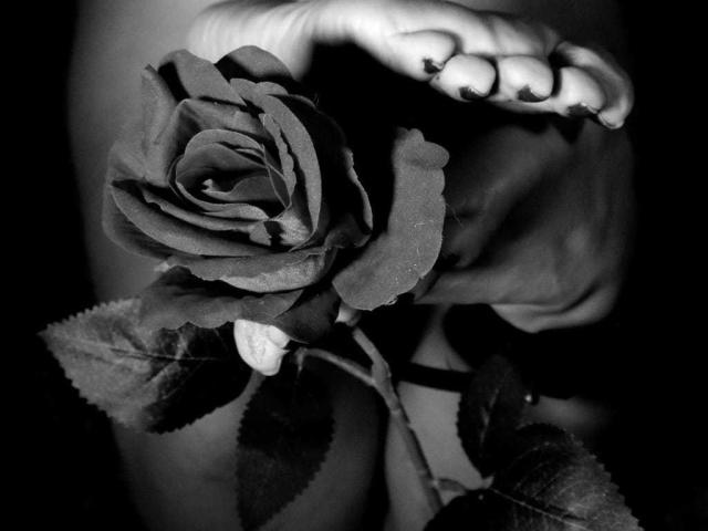 VonneLucia - Live sexe cam - 29394554