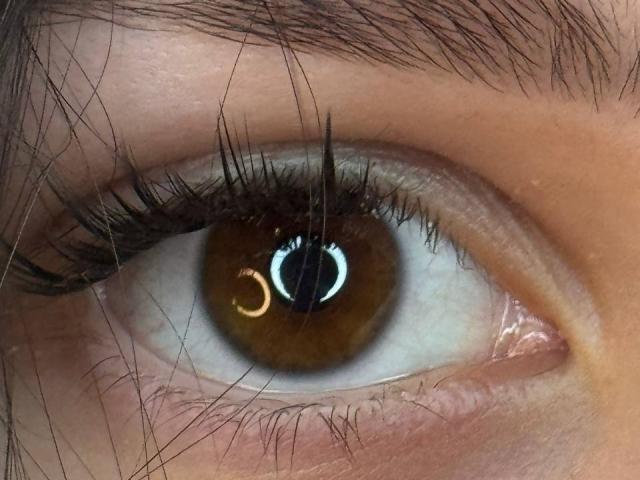 MegganCarlson - Sexe cam en vivo - 29416076