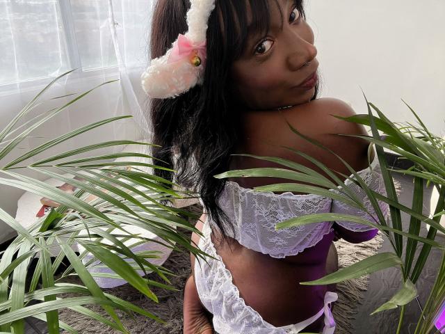 WarisEllen - Live sex cam - 29617508