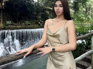 Magesticcock-hot Live Chat on XLoveCam