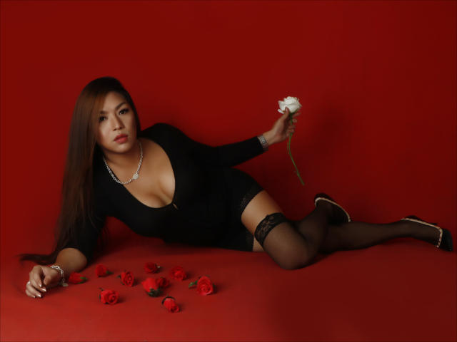 Ynel - Web cam sexy with a Transsexual with huge knockers 