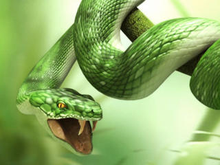 Eutpnicko - Live chat hard with a Homosexuals 