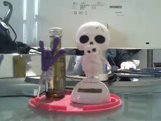 Eutpnicko - Webcam live sexy with a Men sexually attracted to the same sex 