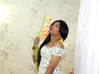 ThanyaXTs - Live cam exciting with a latin Ladyboy 