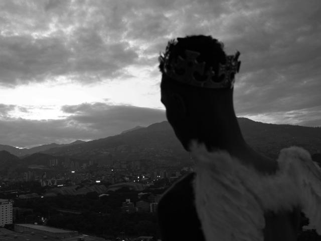 AngeloCassanova - Sexe cam en vivo - 6783933