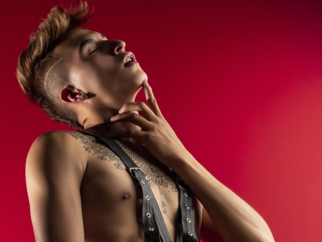 JojoStar - Sexe cam en vivo - 8815244