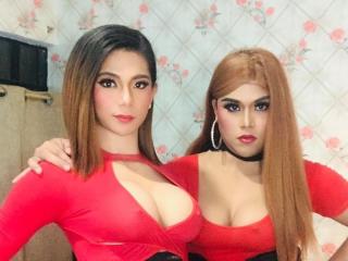 TomAndUge - Sexe cam en vivo - 8926516