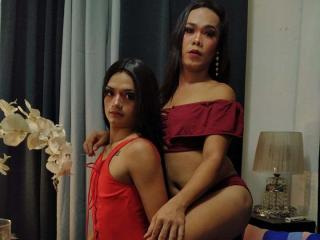 TransAbblexseX - Sexe cam en vivo - 9868457