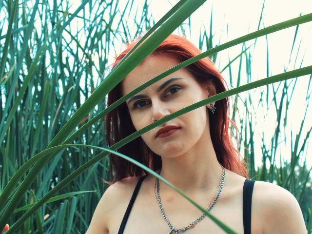 MollyTravis - Live sex cam - 9966590