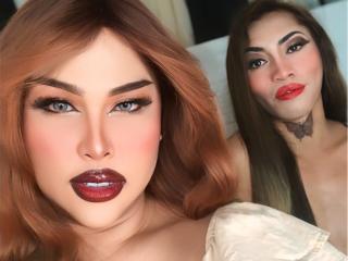 TransFavoriteDuo
