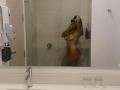 GalaMalkova - Live porn &amp; sex cam - 26632810