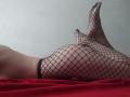 Strogoff - Live porn &amp; sex cam - 29471912