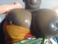 PreciousWoman - Live porno og sexkamera - 26514721