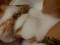 Tsukerberg - Live porn &amp; sex cam - 26439649