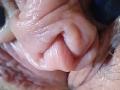 OrianaLaFrancaise - Live porn &amp; sex cam - 30459749