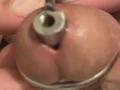 Waldrip - Live sex cam - 21462830
