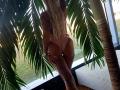 BarbaraBae - Live sex cam - 6312755