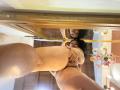 AlisGourmande - Live porn &amp; sex cam - 26556810