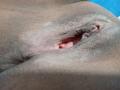 MissyPhil - Live sex cam - 28924823