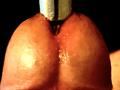 Waldrip - Live sex cam - 21462826