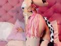 LaurenEvie69 - ライブポルノ&amp;セックスカム - 30627644
