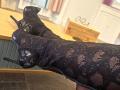 JuneLaFrenchie - Live sex cam - 22752009