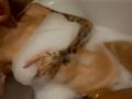 Tsukerberg - Live porn &amp; sex cam - 26439633