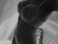 Sloaneswan - Sexe cam en vivo - 29993183