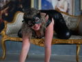 CandyLadyZ - Live sexe cam - 27991622