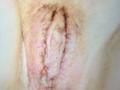 CathyCharls - Live Sex Cam - 22213565