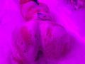 JuliaGarciax - Live sexe cam - 30231305