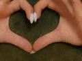 Euphorias - Live sex cam - 26449425