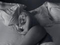 MayaChrystine - Camera khiêu dâm &amp; quyến rũ trực tiếp - 6409040