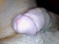 CallMeHotX - Live sex cam - 12528044