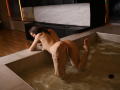 LissaJoes - Live porn &amp; sex cam - 23046265